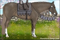 Horse Color:Chocolate Palomino 