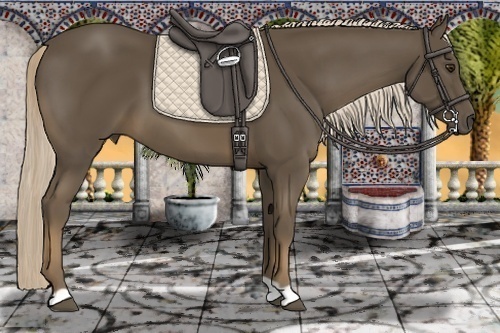 Horse Color:Chocolate Palomino 
