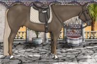 Horse Color:Chocolate Palomino