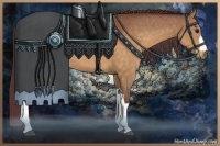 Horse Color:Chocolate Buckskin Rabicano 