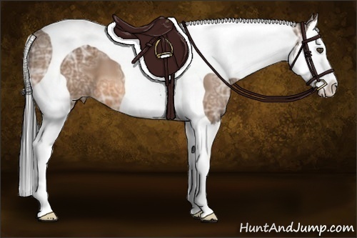 Horse Color:Buckskin Ice Splash Tobiano 