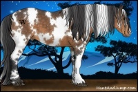 Horse Color:White Spotted Buckskin