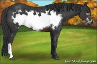 Horse Color:Brown Frame 