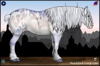 Horse Color:Watercolor White Spotted Silver Brown Ice Onyx Sabino Blanket Rabicano