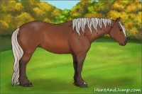 Horse Color:Silver Bay