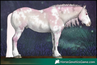 Horse Color:Watercolor White Spotted Silver Bay Chinchilla Ice Onyx Sabino 
