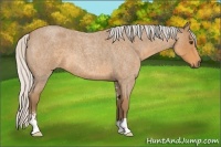 Horse Color:Silver Buckskin Roan Sabino 