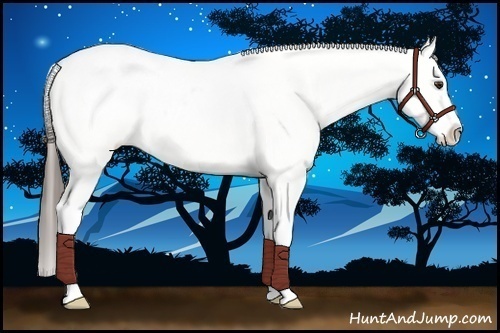 Horse Color:White Spotted Liver Chestnut Varnish