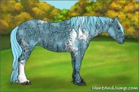 Horse Color:Watercolor White Spotted Black Ice