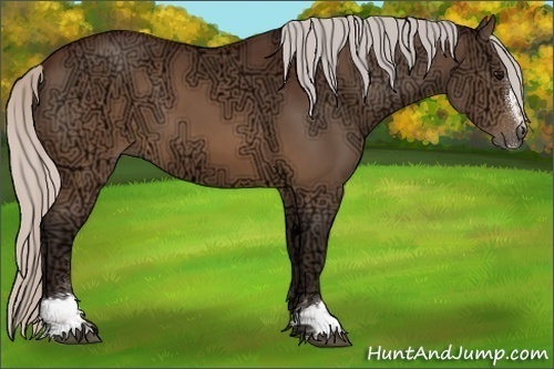 Horse Color:Silver Brown Ice Sabino 