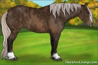 Horse Color:Silver Brown Ice Sabino 