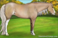 Horse Color:Silver Black Pearl Sabino 