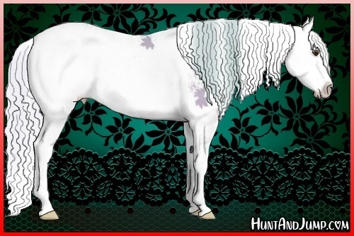 Horse Color:Watercolor Silver Buckskin Dun Sabino Rabicano