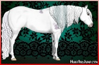 Horse Color:Watercolor Silver Buckskin Dun Sabino Rabicano 