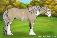 Horse Color:Silver Grullo Sabino