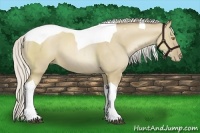 Horse Color:Silver Grullo Pearl Tobiano