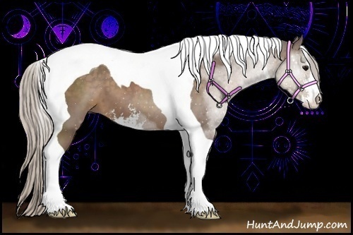 Horse Color:Silver Black Sabino Tobiano 