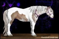 Horse Color:Silver Black Sabino Tobiano 