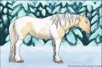 Horse Color:Silver Classic Champagne Dun Tobiano Rabicano