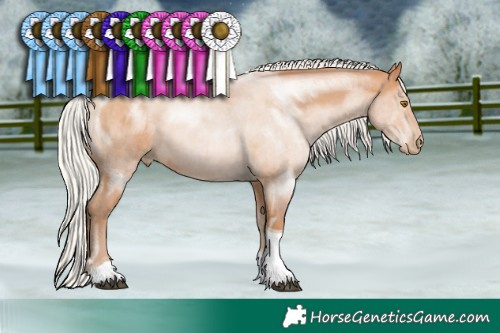 Horse Color:Silver Brown Pearl Sabino Tobiano 