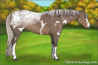 Horse Color:White Spotted Silver Black Ice