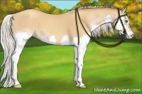 Horse Color:Silver Sable Champagne Splash