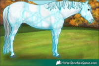 Horse Color:Thunderstruck Brown Ice Sabino Tobiano Appaloosa 