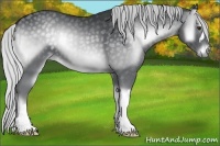 Horse Color:Silver Blue Onyx Chinchilla 