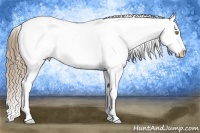 Horse Color:White Spotted Liver Chestnut Pearl Snowflake Varnish