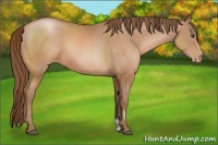 Horse Color:Brown Pearl 