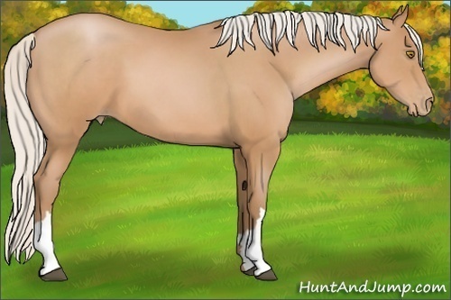Horse Color:Silver Brown Pearl 