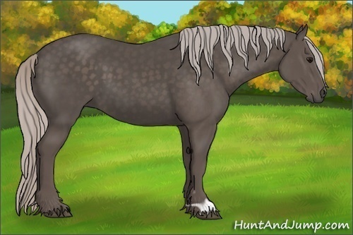 Horse Color:Silver Black 