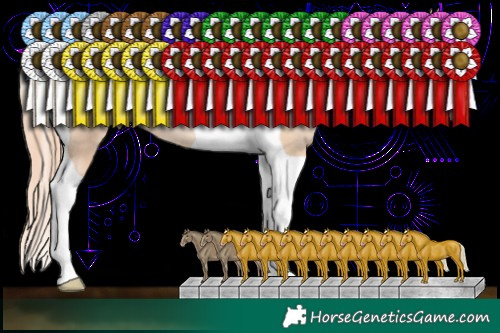 Horse Color:Classic Champagne Pearl Tobiano Rabicano 