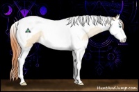 Horse Color:Buckskin Pearl Dun Splash Tobiano Rabicano 