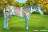 Horse Color:Thunderstruck White Spotted Liver Chestnut Pearl 
