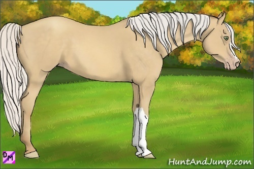Horse Color:Silver Sable Cream Champagne 
