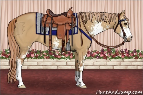 Horse Color:Red Dun Sabino 