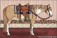 Horse Color:Red Dun Sabino