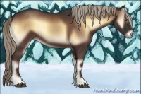 Horse Color:Liver Red Onyx 