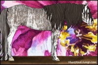 Horse Color:Liver Chestnut Ice Sabino Splash Rabicano