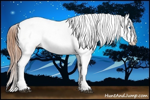 Horse Color:Bay Splash Snowcap Rabicano