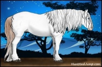 Horse Color:Bay Splash Snowcap Rabicano