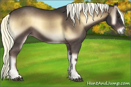 Horse Color:Liver Red Onyx 