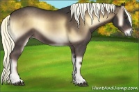 Horse Color:Liver Red Onyx 