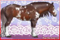 Horse Color:White Spotted Chocolate Brown