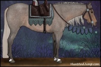 Horse Color:Silver Blue Roan 