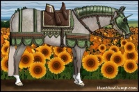 Horse Color:Silver Blue Roan