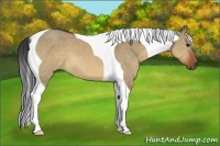 Horse Color:Brown Dun Tobiano 