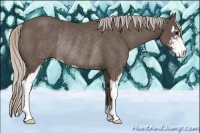 Horse Color:Silver Black Sabino Rabicano 