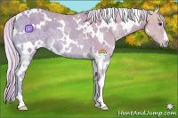 Horse Color:Watercolor White Spotted Palomino Ice